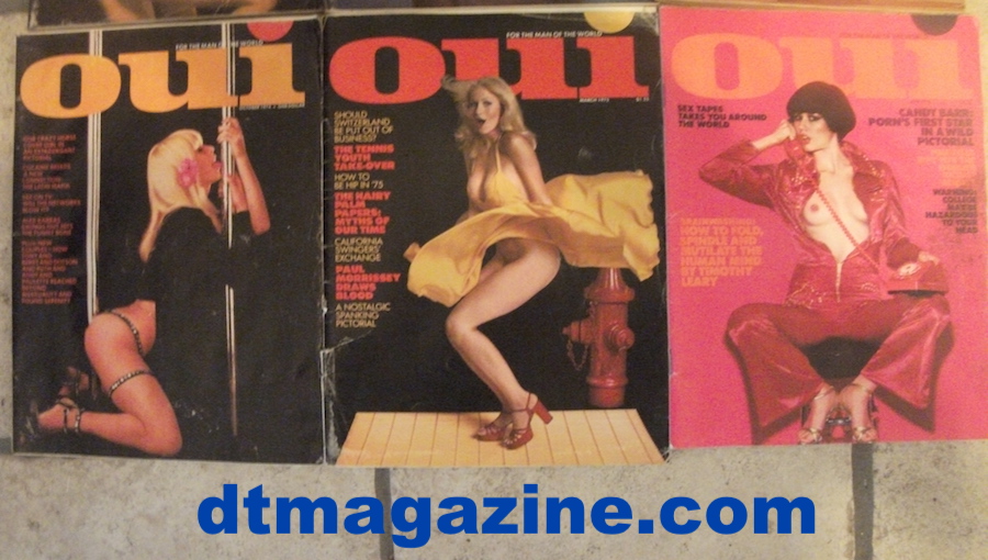 (image for) Lot of 9 Oui Magazines (Banned on Ebay)